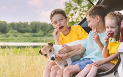 Family traveling by car having picnic in nature. Smiling children eating popsicle
